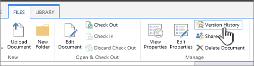 The file tab with Version History highlighted