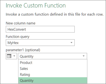 The Invoke Custom Function dialog box