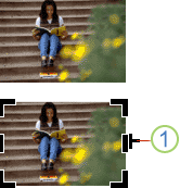 Screenshot of the Cropping Handle in Publisher.